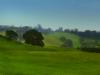 napa valley