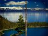 tahoe view