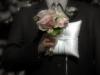 the wedding