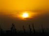 caspian sunrise