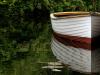 boat and green