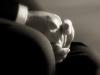 hands