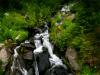 paradise river