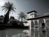 alhambra courtyard