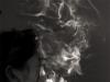 smoke