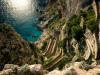 capri pathway
