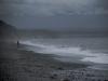 grey shore