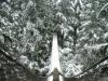 snow in vancouver