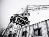 the crane
