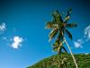 st. lucia beach