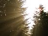 light and road