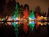 festival of lights 1