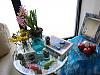 norooz