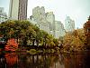 fall in central park