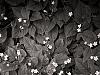 uv flowers